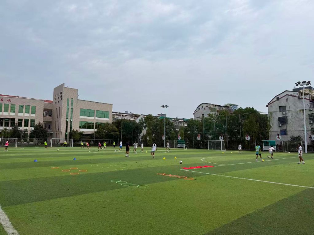金狮贵宾会介绍图片