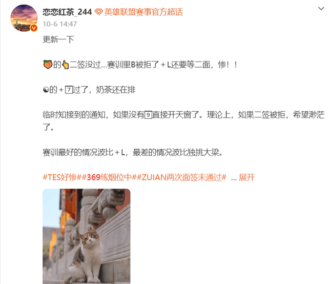 金狮贵宾会详情图
