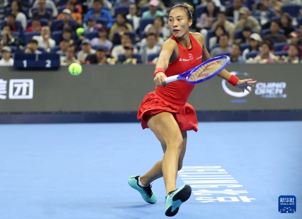 金狮贵宾会案例展示