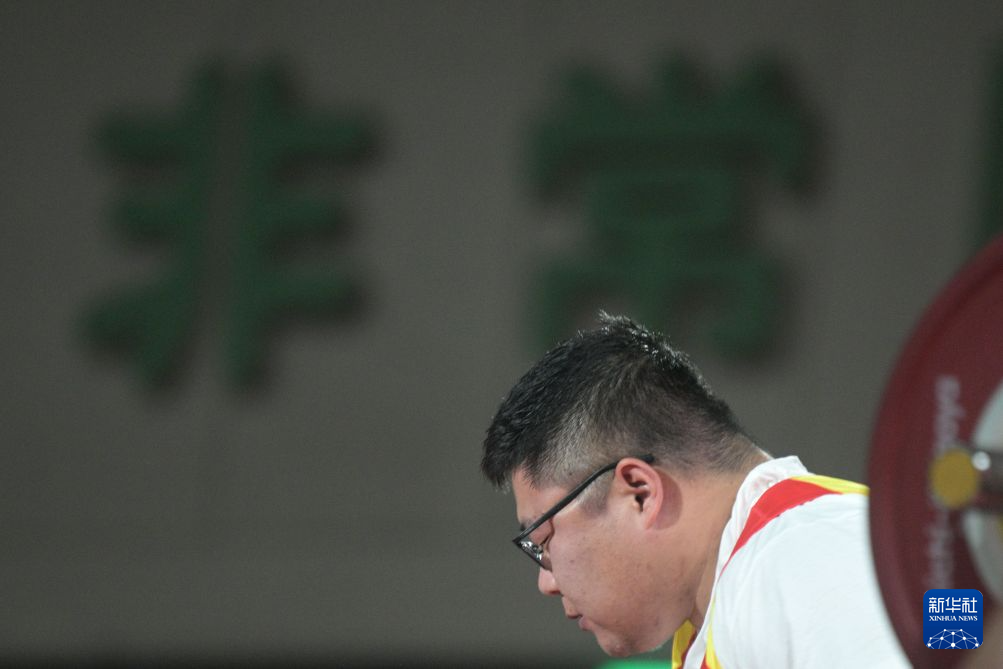 专业金狮贵宾会服务